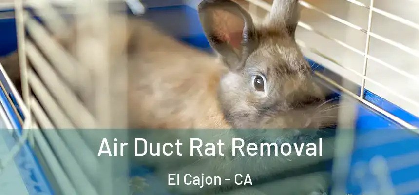Air Duct Rat Removal El Cajon - CA