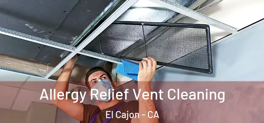 Allergy Relief Vent Cleaning El Cajon - CA
