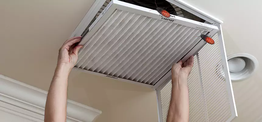 Preventive Cockroach-Proofing for Ducts in El Cajon