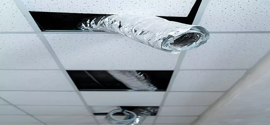 Our Air Duct Pet Hair Removal Services in El Cajon, CA