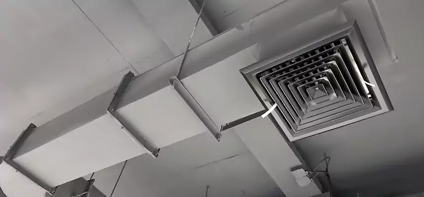 Our Pest Removal From Ducts Services in El Cajon, CA