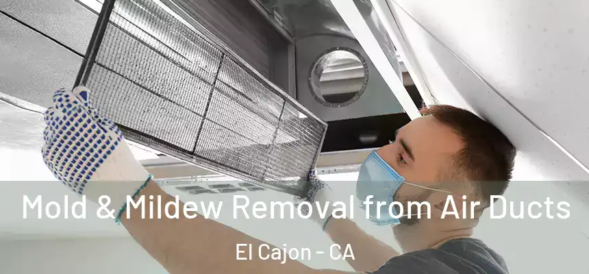  Mold & Mildew Removal from Air Ducts El Cajon - CA