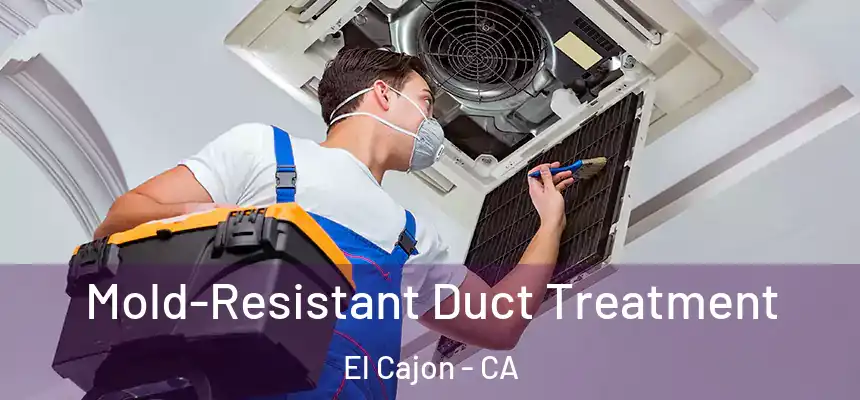 Mold-Resistant Duct Treatment El Cajon - CA