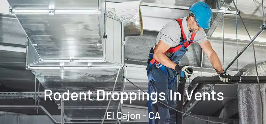 Rodent Droppings In Vents El Cajon - CA