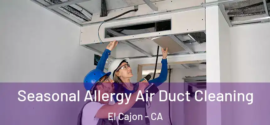 Seasonal Allergy Air Duct Cleaning El Cajon - CA