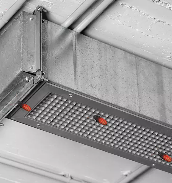 About Air Duct Cockroach Removal in El Cajon, CA