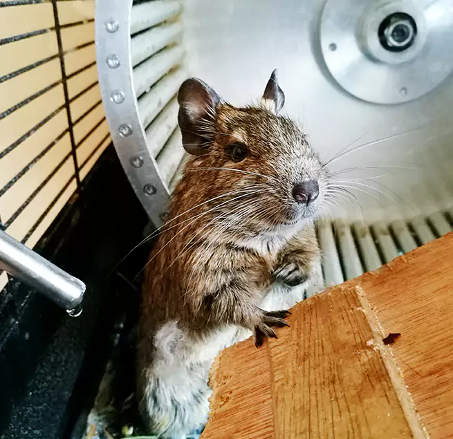 Why Homeowners & Businesses Trust Us El Cajon, CA