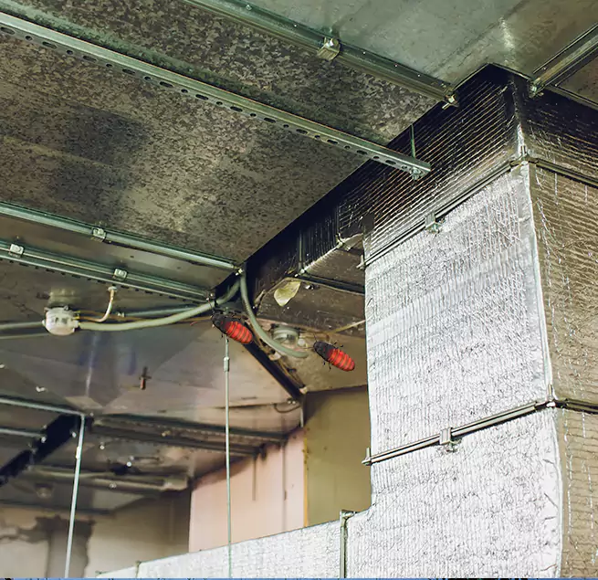 Why Homeowners & Businesses Trust Us El Cajon, CA?