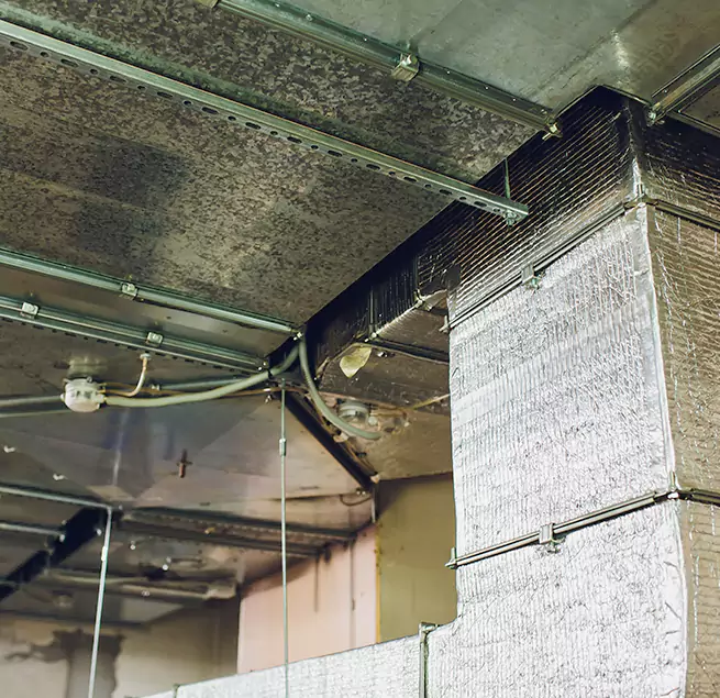 Why Homeowners & Businesses Trust Us in El Cajon, CA?